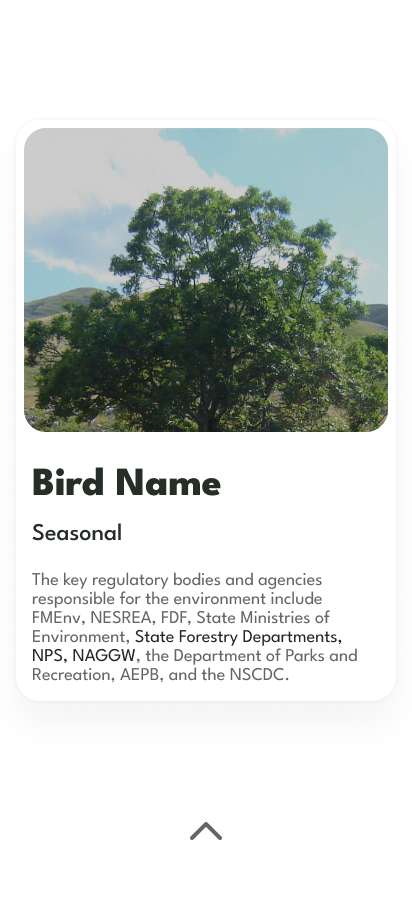 City Bird: The App — A bird card