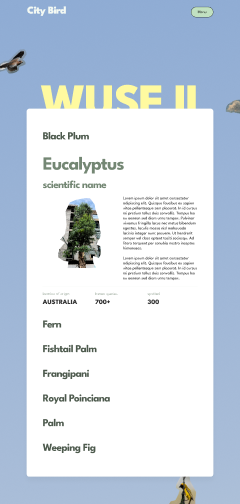 City Bird — A neighbourhood's trees