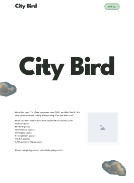 City Bird — Wireframe of the home page